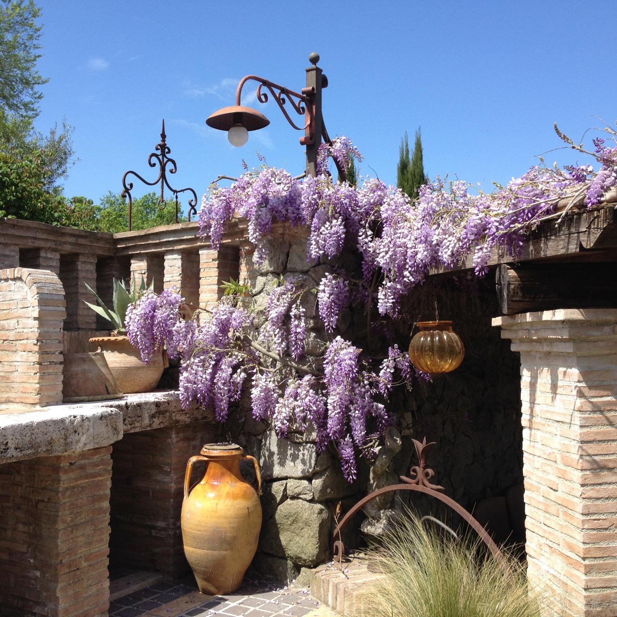 Olivella Villa Campagnano Di Roma Exteriör bild