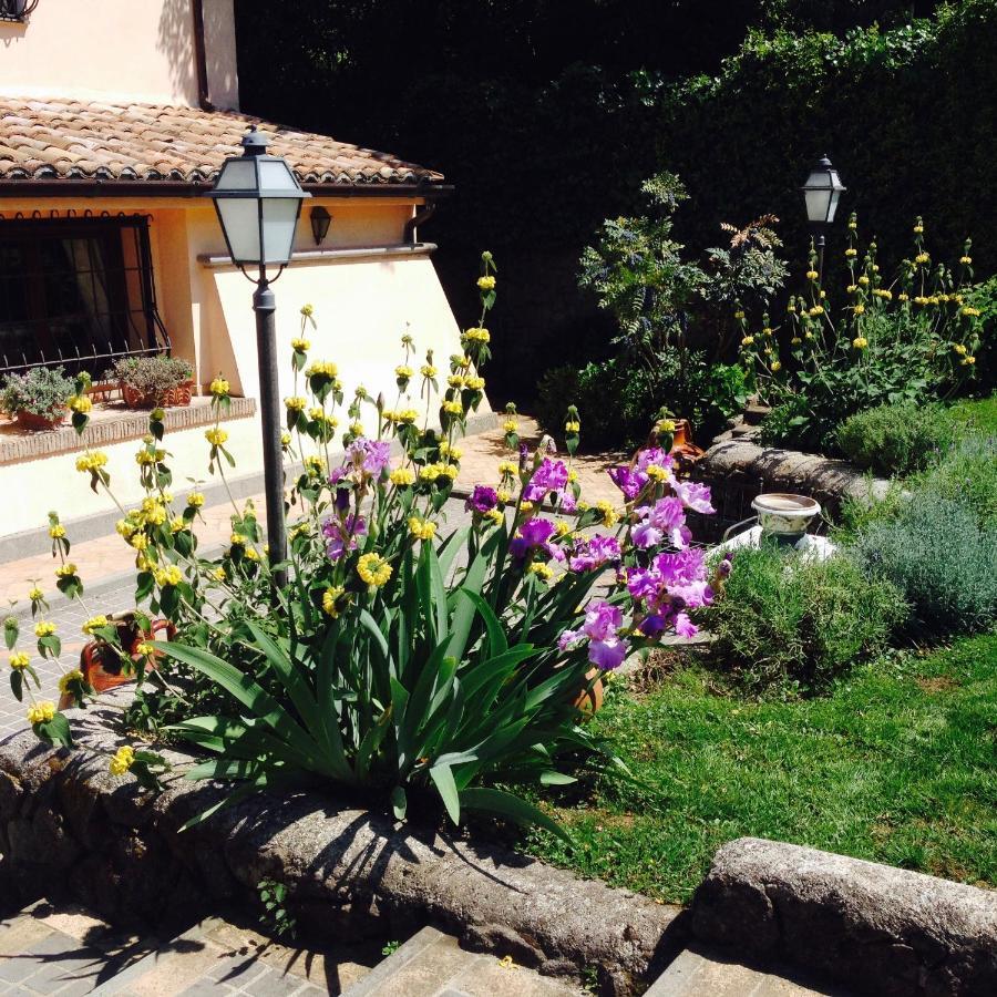 Olivella Villa Campagnano Di Roma Exteriör bild
