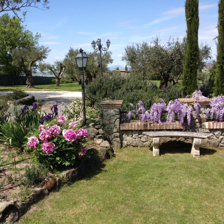 Olivella Villa Campagnano Di Roma Exteriör bild