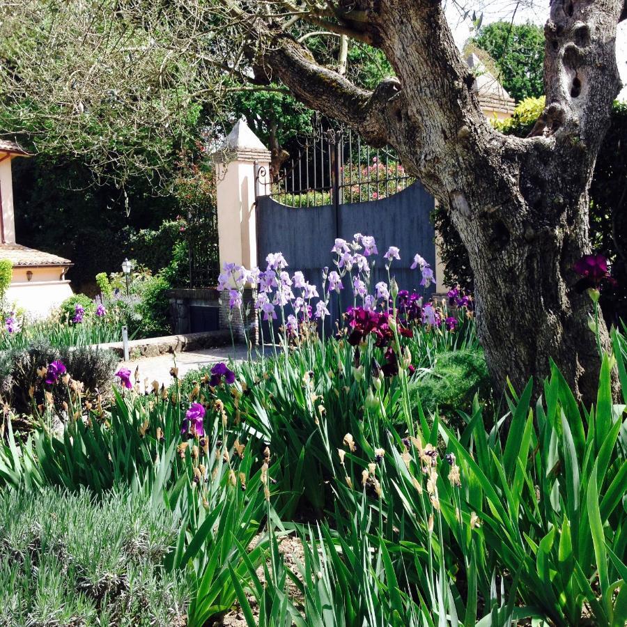 Olivella Villa Campagnano Di Roma Exteriör bild