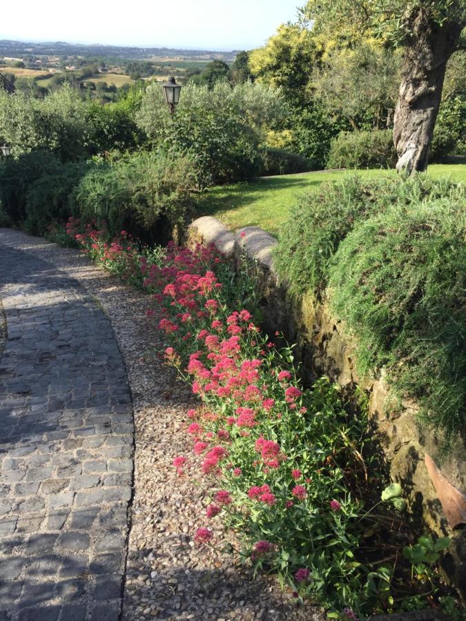 Olivella Villa Campagnano Di Roma Exteriör bild