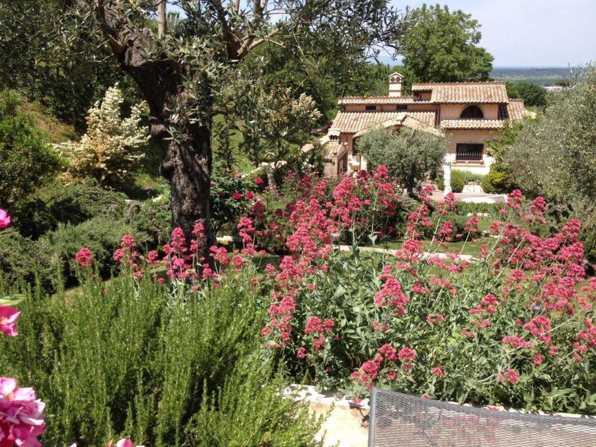 Olivella Villa Campagnano Di Roma Exteriör bild