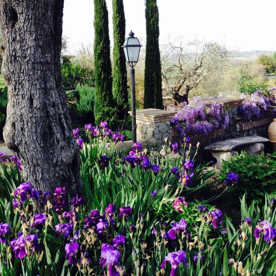Olivella Villa Campagnano Di Roma Exteriör bild